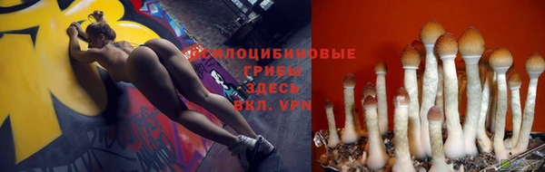МДПВ Балахна
