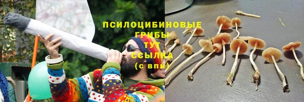 ALPHA PVP Баксан
