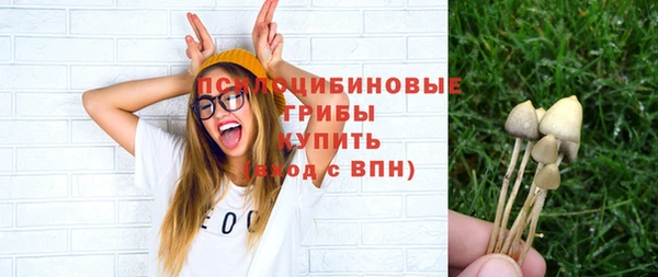 2c-b Дмитров