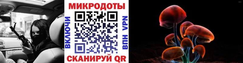 Псилоцибиновые грибы Cubensis  kraken зеркало  Кувшиново 